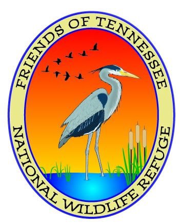 friendstnwr