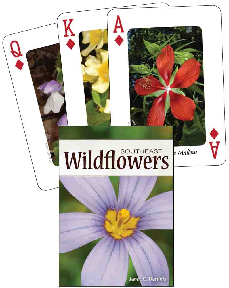 Playing Cards Wildflowers Southeas