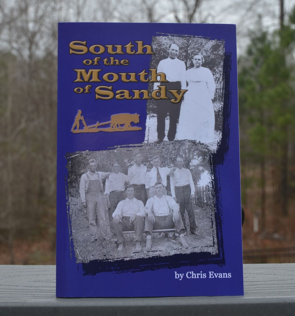 South of the Mouth of Sandy