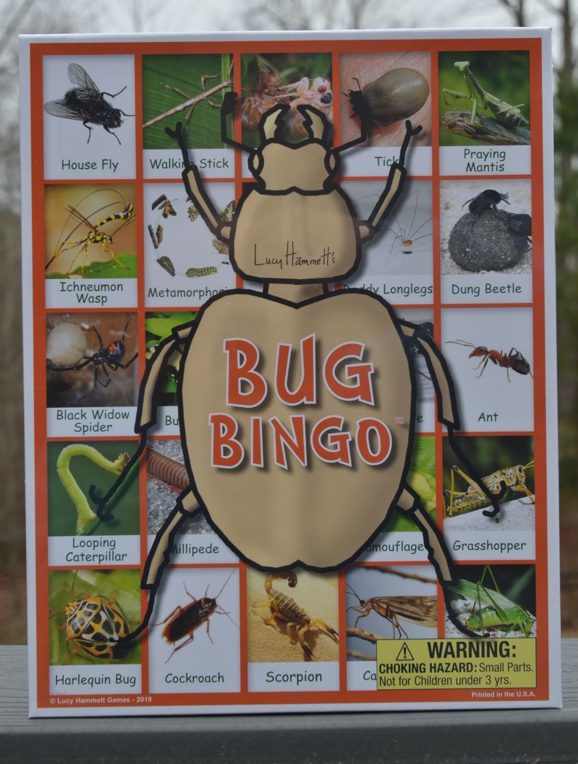 CC Bug Bingo