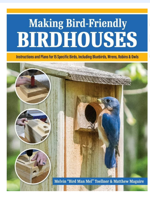 Making Bird-Friendly Birdhouses