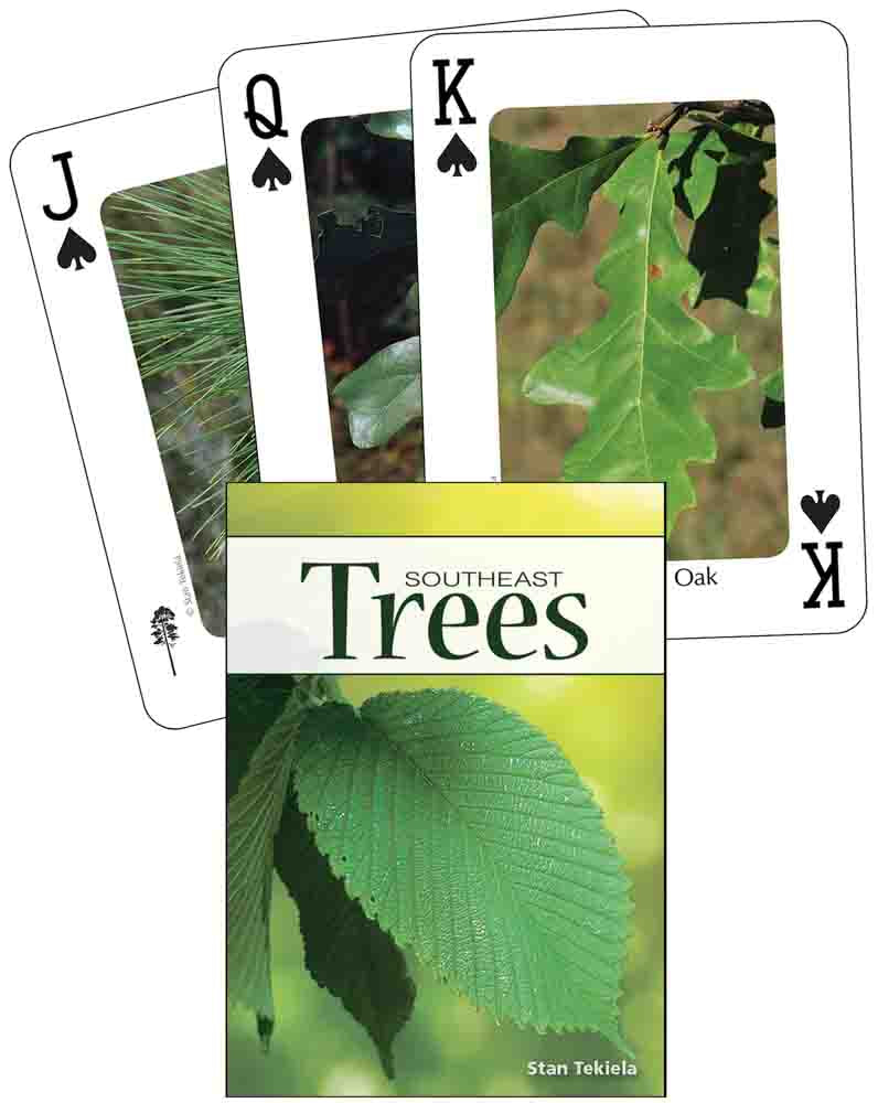 Playing Cards Trees of SouthEast