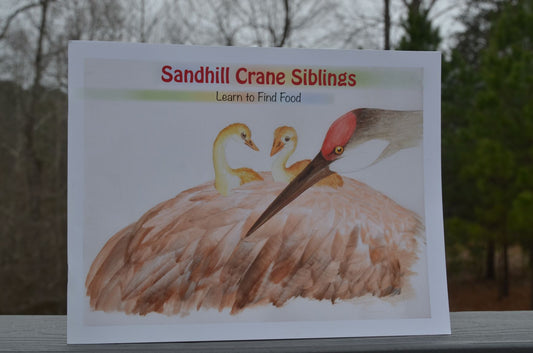 Sandhill Crane Siblings