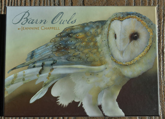 Barn Owl Boxed Notecards