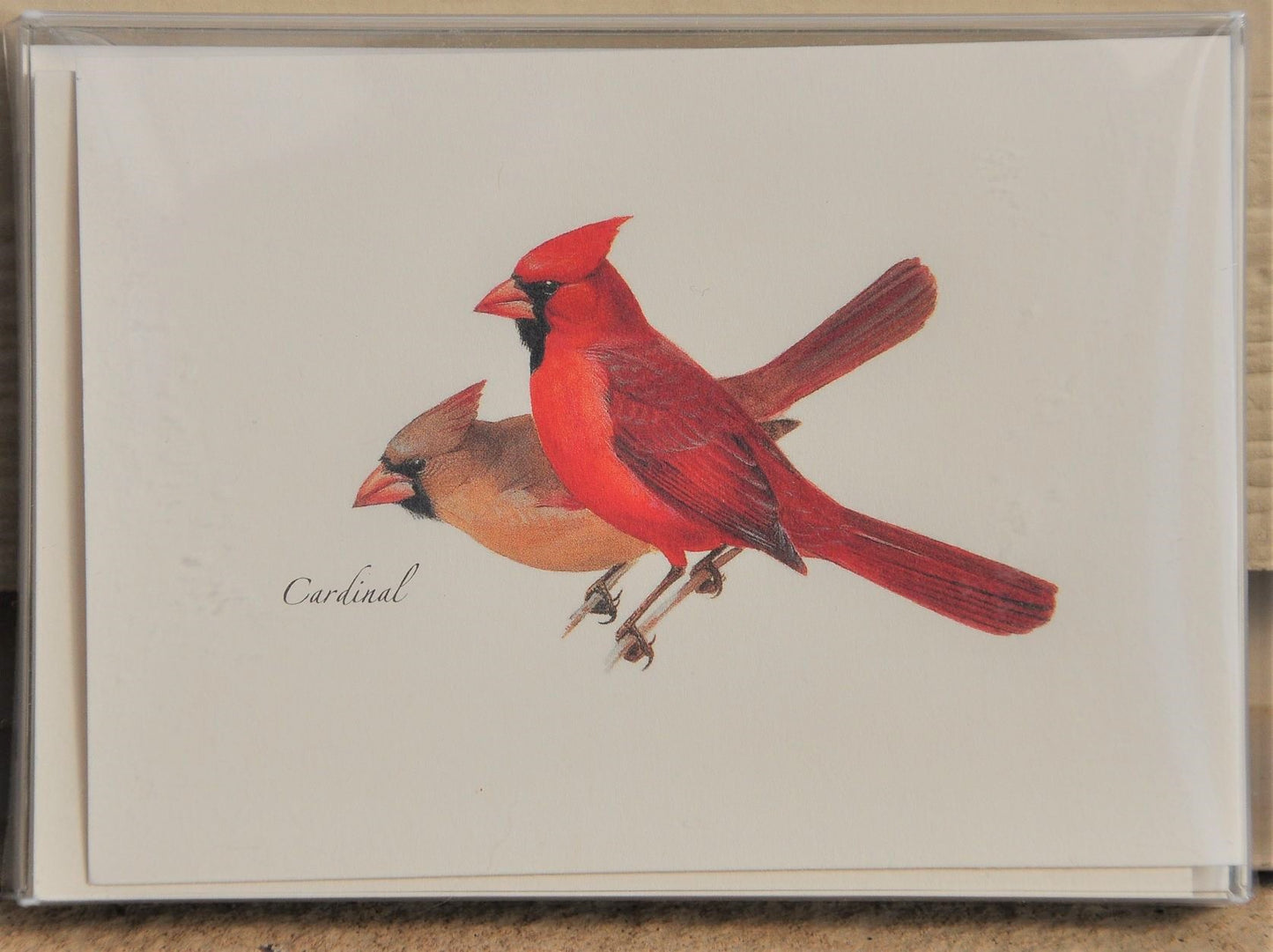 Notecards Cardinals