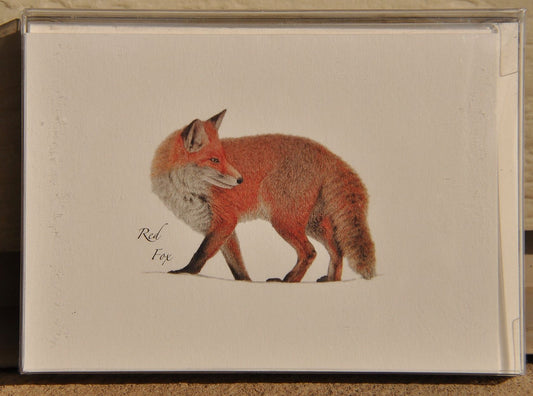 Notecards Red Fox